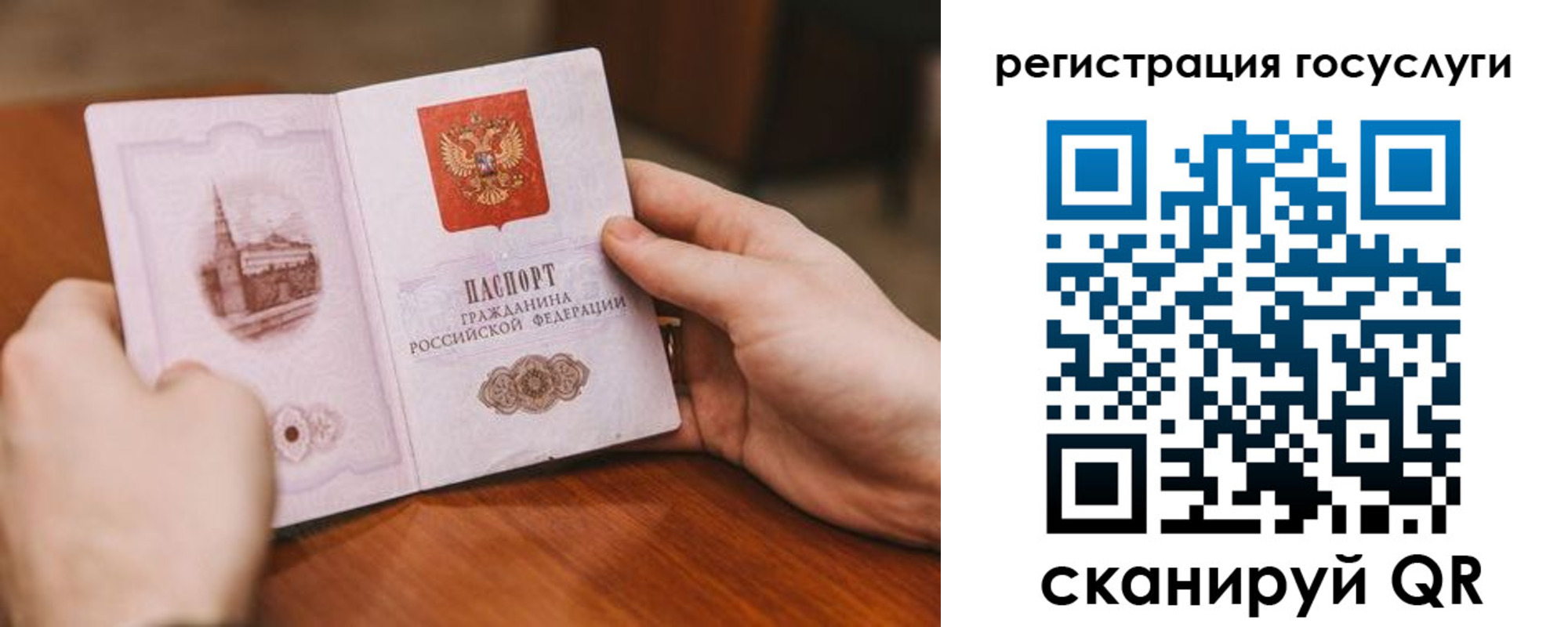 прописка поиск в Советске